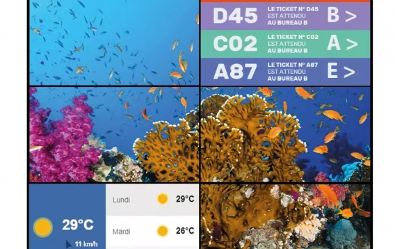 Affichage Dynamique ESII